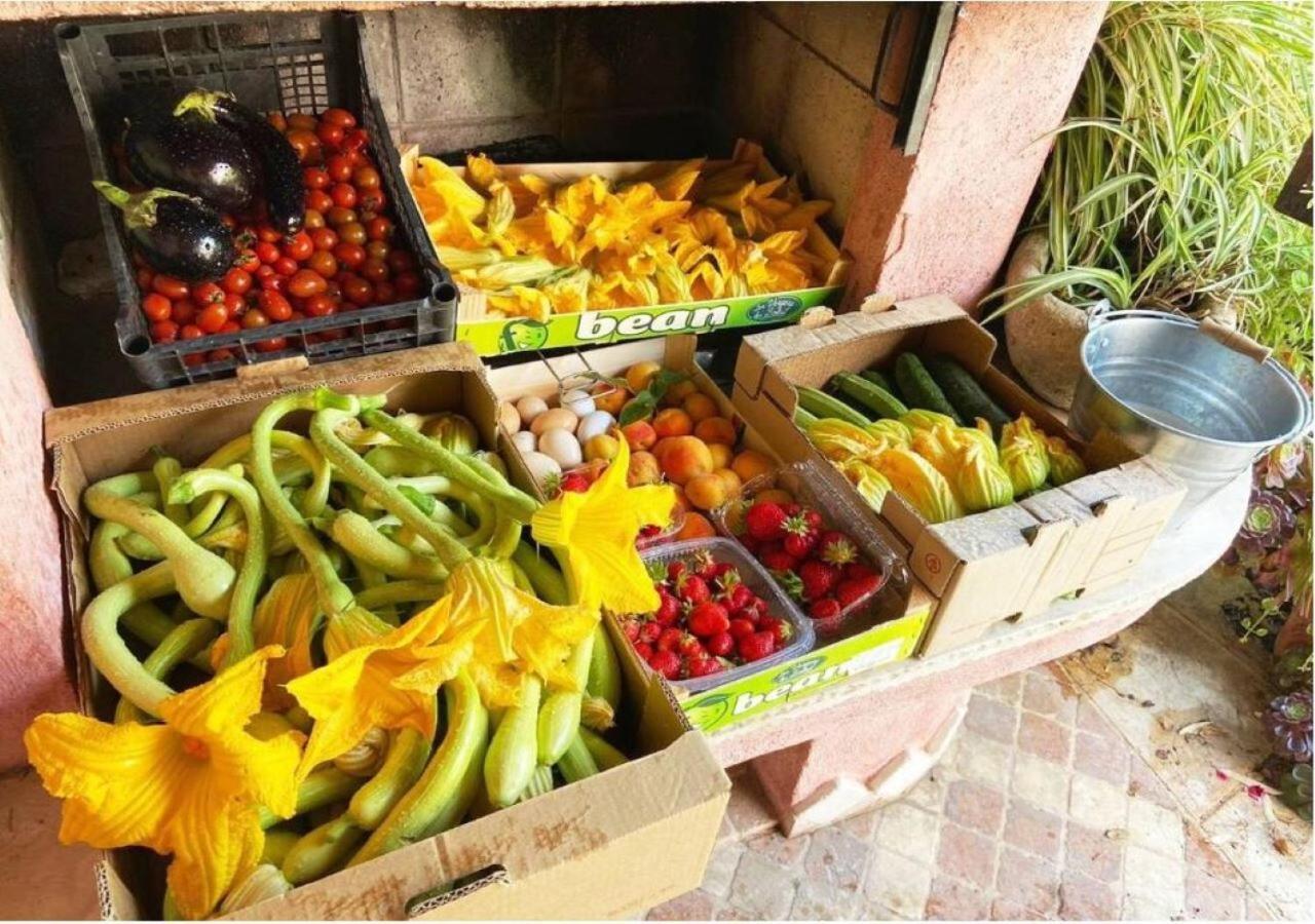 Ascheri Country House - Grimaldi, Ventimiglia Bagian luar foto