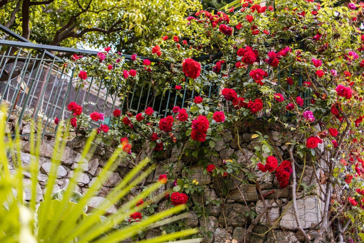 Ascheri Country House - Grimaldi, Ventimiglia Bagian luar foto